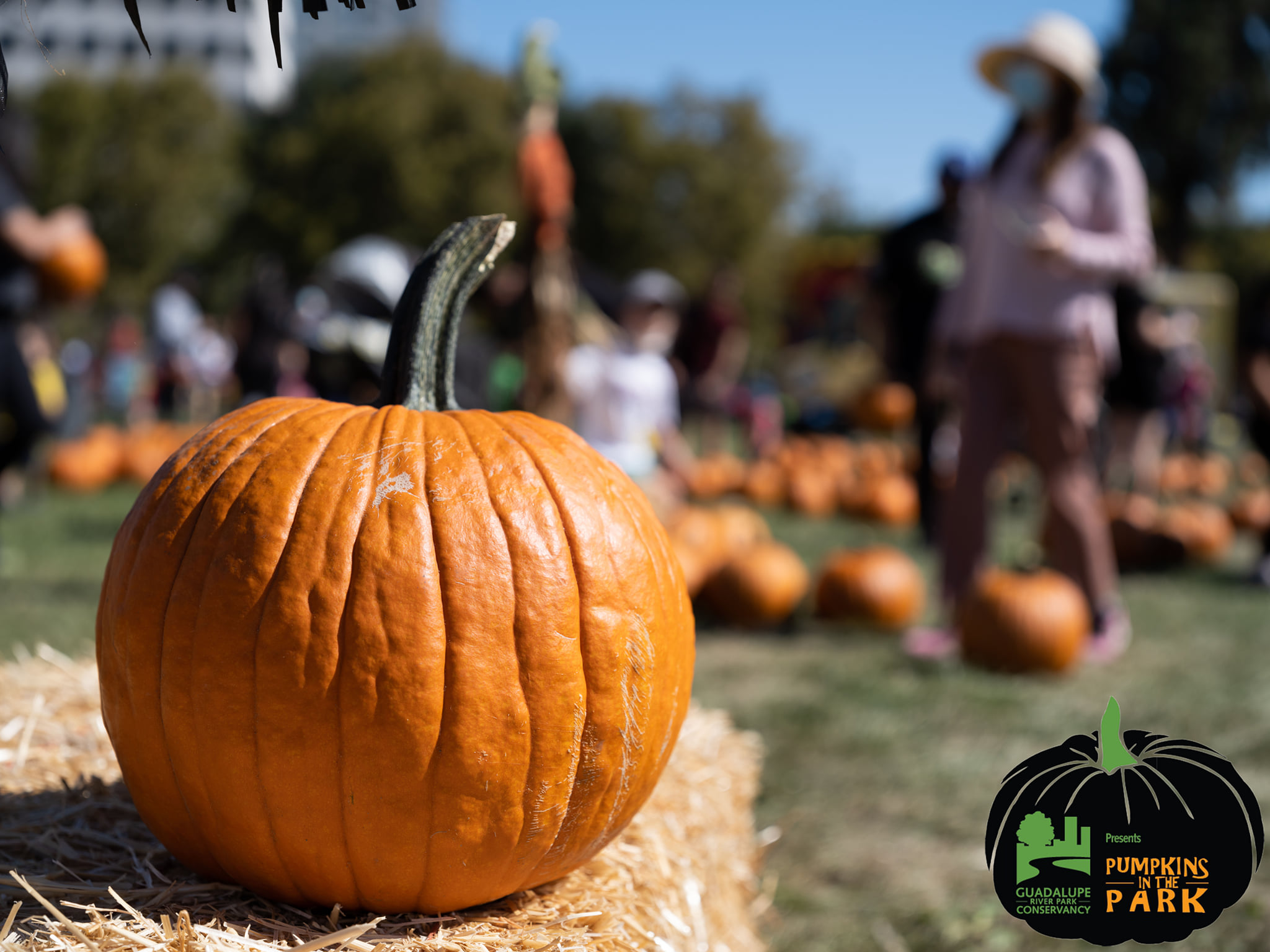 Pumpkins in the Park VTA